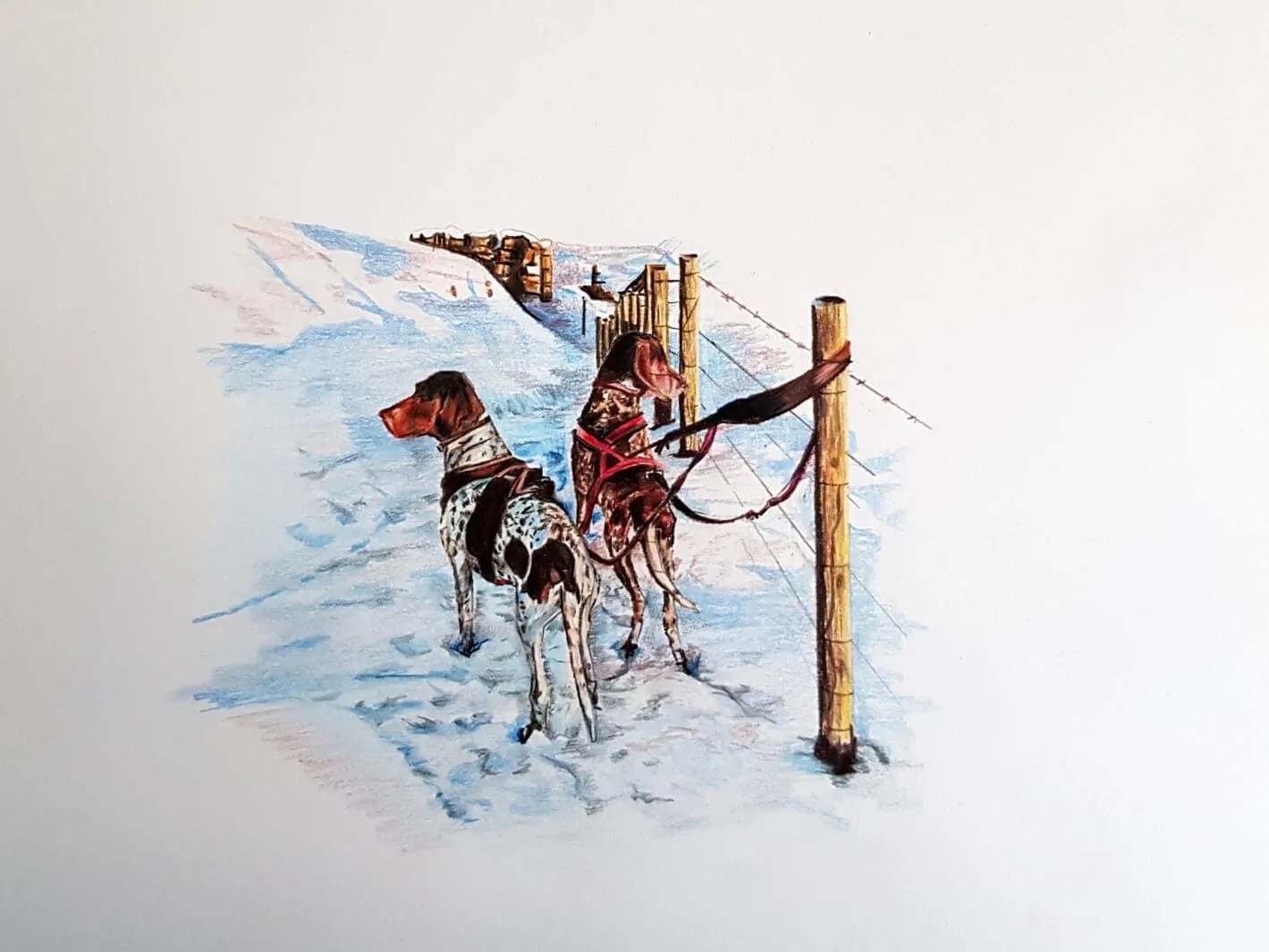 Two dogs in a snowy scene by a fence post, drawn in coloured pencil
