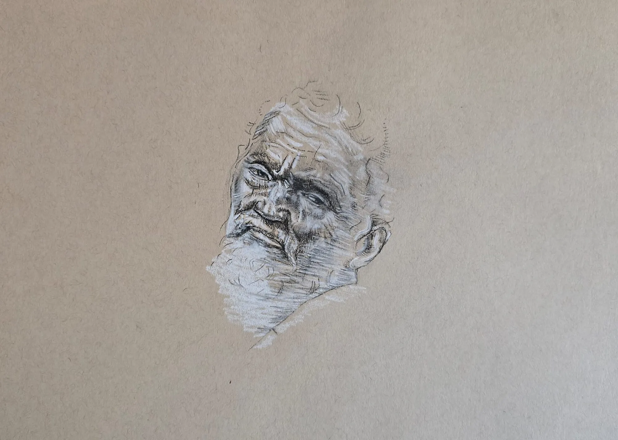 A head study of a bearded man in dark and white pencil on toned paper